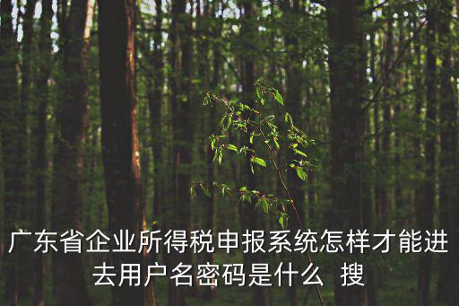 廣東省企業所得稅申報系統怎樣才能進去用戶名密碼是什么  搜
