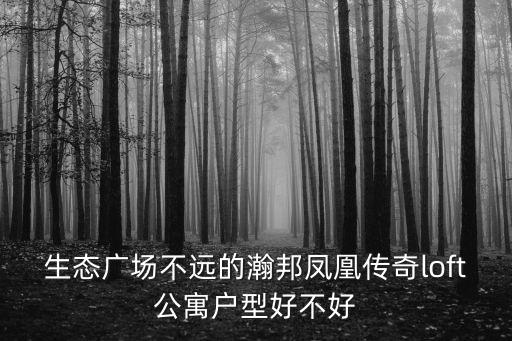 生態(tài)廣場(chǎng)不遠(yuǎn)的瀚邦鳳凰傳奇loft公寓戶型好不好