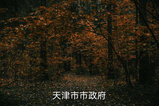 天津市政府嚴(yán)鵬程，天津市市委辦公廳主任是誰