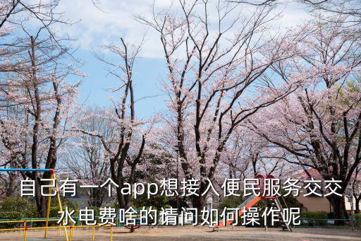 自己有一個app想接入便民服務交交水電費啥的請問如何操作呢