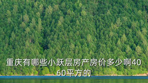 重慶有哪些小躍層房產(chǎn)房價多少啊4060平方的
