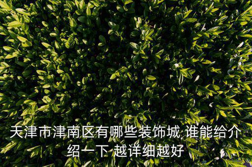 天津市津南區有哪些裝飾城 誰能給介紹一下 越詳細越好
