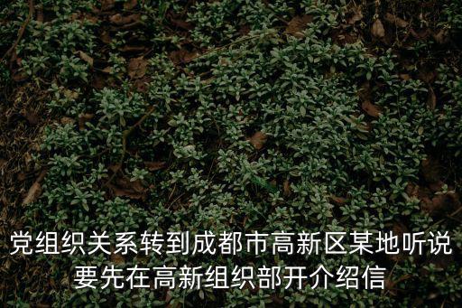 成都市海棗樹文件，黨組織關(guān)系轉(zhuǎn)到成都市高新區(qū)某地聽說要先在高新組織部開介紹信