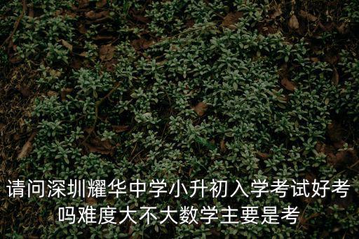 請問深圳耀華中學小升初入學考試好考嗎難度大不大數學主要是考