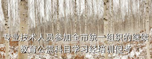 專業(yè)技術人員參加全市統(tǒng)一組織的繼續(xù)教育公需科目學習經(jīng)培訓但考