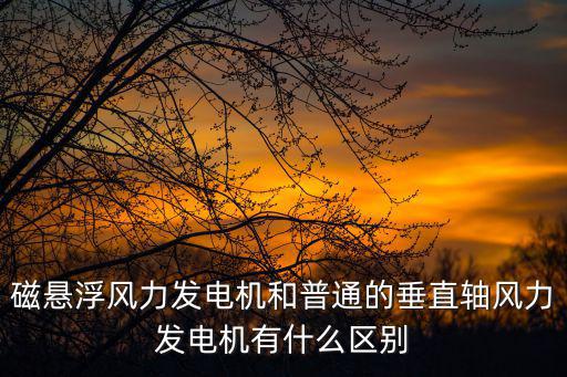 磁懸浮電機，磁懸浮風力發電機和普通的垂直軸風力發電機有什么區別