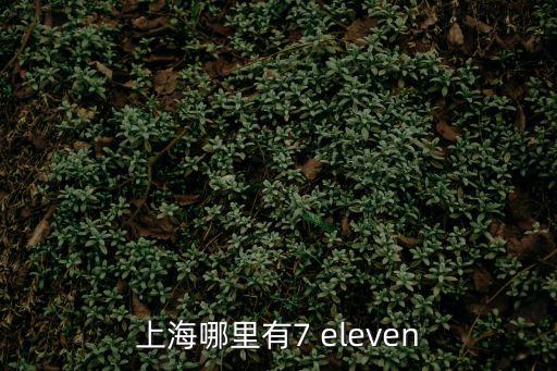 上海哪里有7 eleven