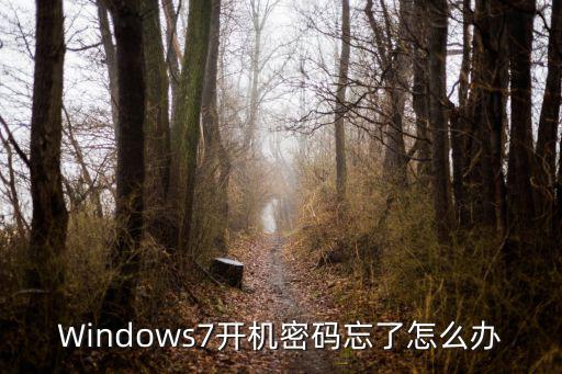 Windows7開機密碼忘了怎么辦