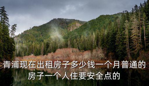 青浦現在出租房子多少錢一個月普通的房子一個人住要安全點的