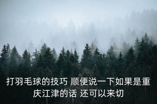 打羽毛球的技巧 順便說一下如果是重慶江津的話 還可以來切