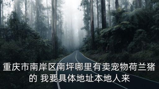 重慶市荷蘭豬養殖基地，重慶生豬養殖基地
