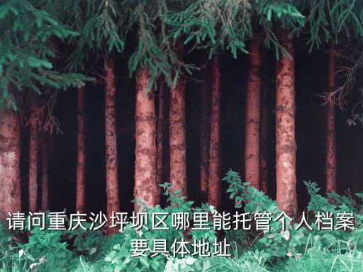 請問重慶沙坪壩區哪里能托管個人檔案要具體地址