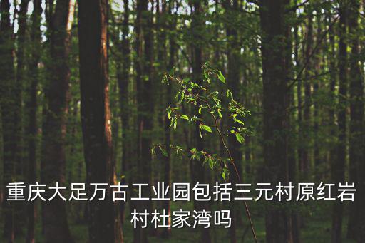 重慶大足萬(wàn)古工業(yè)園包括三元村原紅巖村杜家灣嗎