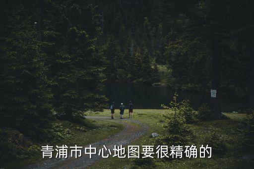 青浦幾個鎮的地圖，青浦市中心地圖要很精確的