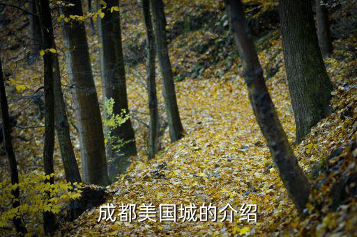 成都美國(guó)城的介紹
