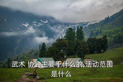 武術協會,中國只承認武術/中國協會段證書認可度不大