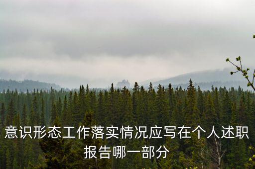 意識形態工作報告，意識形態工作落實情況應寫在個人述職報告哪一部分