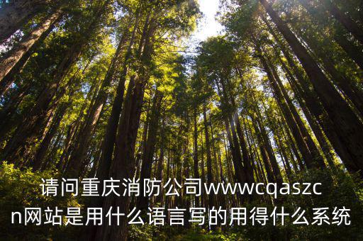 請問重慶消防公司wwwcqaszcn網站是用什么語言寫的用得什么系統