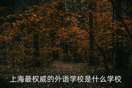 上海最權(quán)威的外語學(xué)校是什么學(xué)校