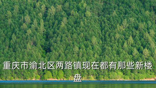 重慶市渝北區兩路鎮現在都有那些新樓盤