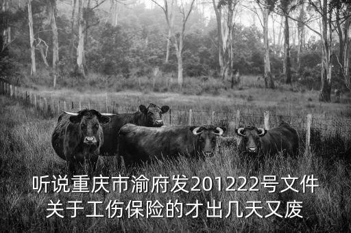 聽說重慶市渝府發201222號文件關于工傷保險的才出幾天又廢