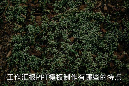 工作匯報(bào)PPT模板制作有哪些的特點(diǎn)