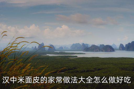 漢中米面皮的家常做法大全怎么做好吃