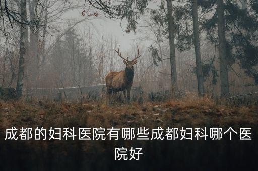 成都的婦科醫院有哪些成都婦科哪個醫院好