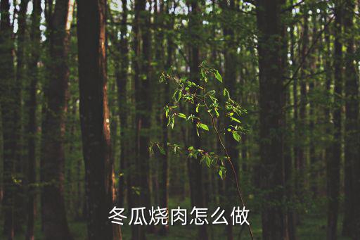 冬瓜紅燒肉，紅燒肉燉冬瓜怎么做好吃
