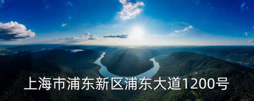 上海市浦東新區浦東大道1200號