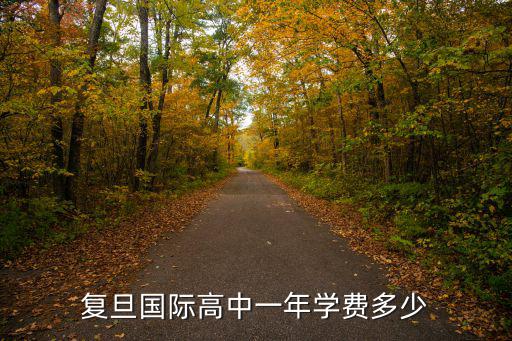 復旦國際高中一年學費多少
