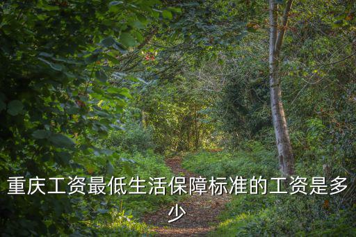 重慶市主城低保每月多少，重慶市低保有多少錢