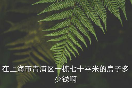 在上海市青浦區(qū)一棟七十平米的房子多少錢啊