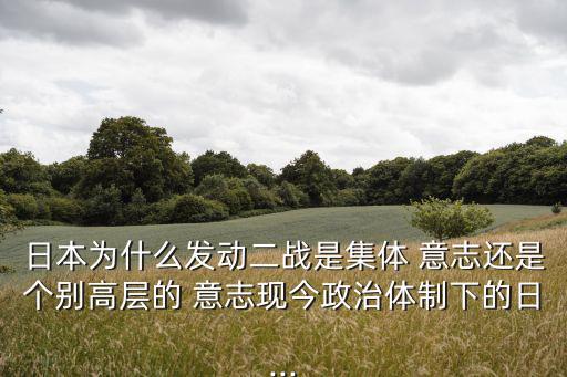 日本為什么發動二戰是集體 意志還是個別高層的 意志現今政治體制下的日...