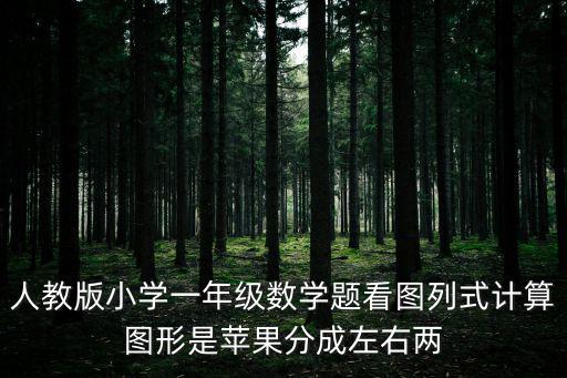 人教版小學一年級數學題看圖列式計算圖形是蘋果分成左右兩