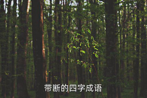 帶斷的四字成語