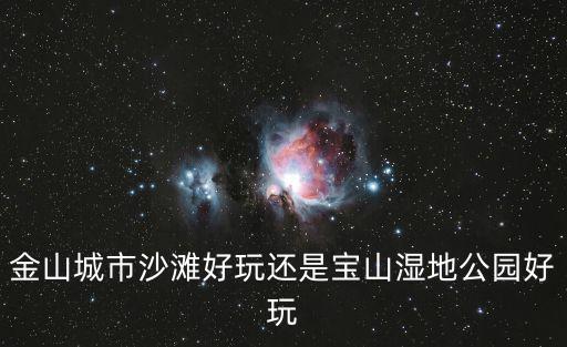 金山城市沙灘好玩還是寶山濕地公園好玩