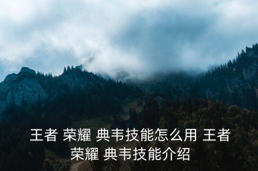 王者榮耀典韋,關于回城炮和肉雞之戰