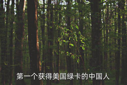 蒲安臣條約，第一個獲得美國綠卡的中國人
