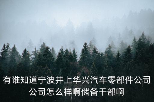 天津市井上華翔待遇，天津市私立小學老師待遇怎么樣和國辦校差距大嗎