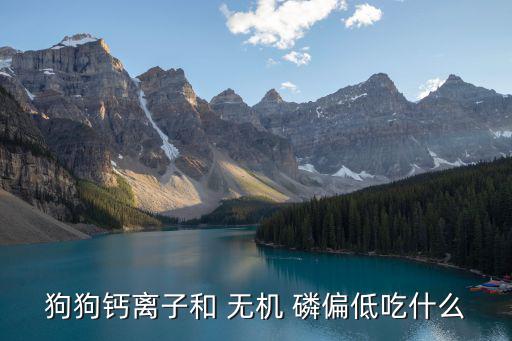狗狗鈣離子和 無機 磷偏低吃什么