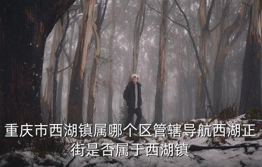 重慶市西湖鎮屬哪個區管轄導航西湖正街是否屬于西湖鎮