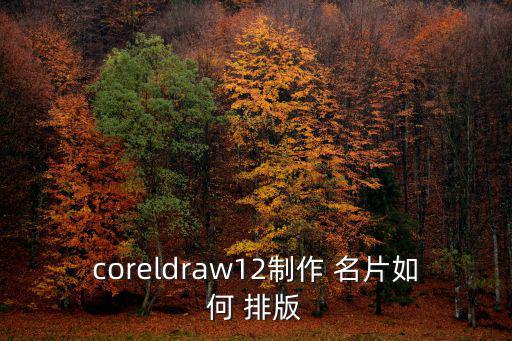名片排版,新加坡大選】名片設計須注意什么?