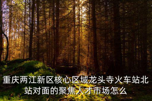 重慶市經開區鼓樓四村，重慶兩江新區核心區域龍頭寺火車站北站對面的聚焦人才市場怎么