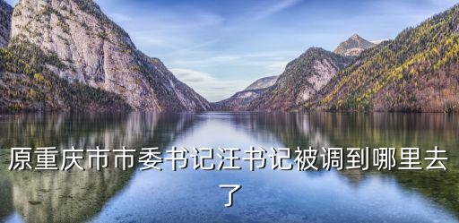 原重慶市市委書記汪書記被調到哪里去了