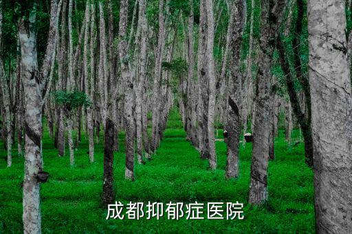 成都抑郁癥醫院