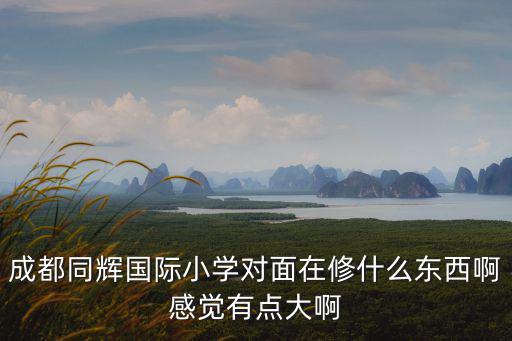 成都同輝國際小學對面在修什么東西啊感覺有點大啊
