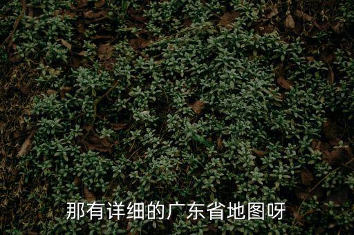 那有詳細的廣東省地圖呀