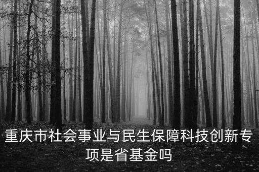 重慶市社會事業與民生保障科技創新專項是省基金嗎