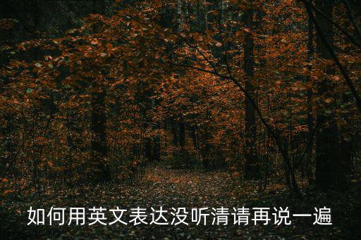如何用英文表達沒聽清請再說一遍